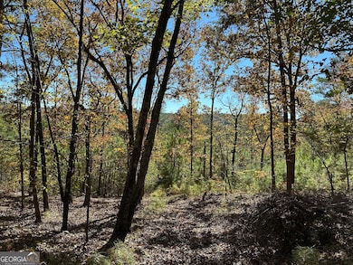 TR 3 Culp Lake Rd, Cedartown, GA 30125 - photo 3