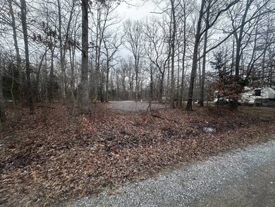 Lot 10 Spring Cir, Beechgrove, TN 37018 - photo 4