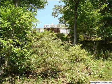 VIEW FROM BACK DECK  YOU CAN WALK DOWN TO RIVER OR