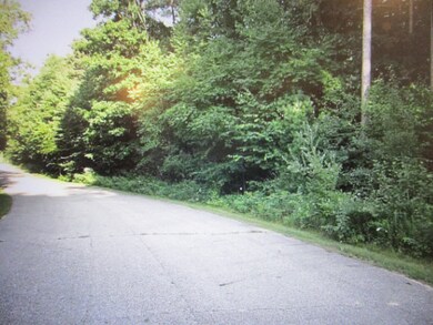 13478 NE Windy Craig Dr, Gowen, MI 49326 - photo 4