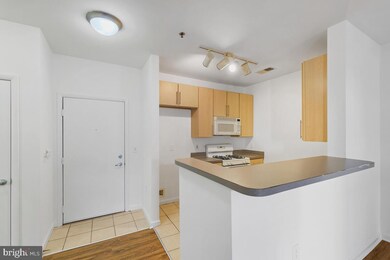 Silverton Condominiums unit 424, Silver Spring, MD 20910 - photo 6