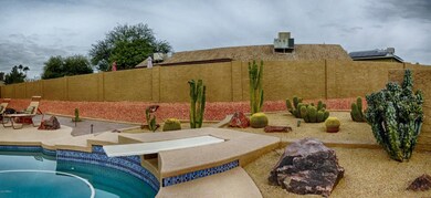 Catus garden