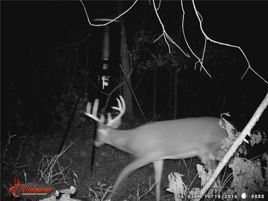 14136 Savoy Rd, Fayetteville, AR 72704 - photo 7