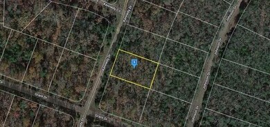 6854+VFP Horseshoe Bend unit Arkansas AR USA, Horseshoe Bend, AR 72512 - photo 2