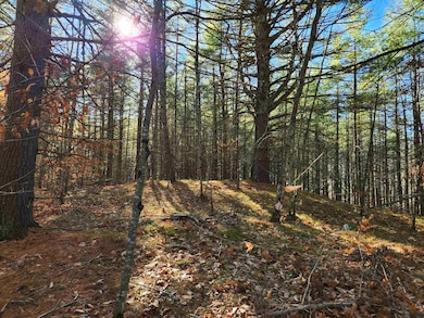 19 White Mountain Hwy, Wakefield, NH 03872 - photo 6