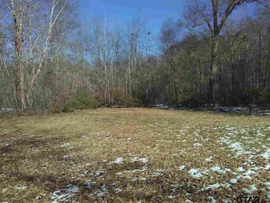 14631 County Road 2215, Tyler, TX 75707 - photo 3