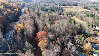 1253 Bacontown Rd, Nicholson, PA 18446 - photo 4