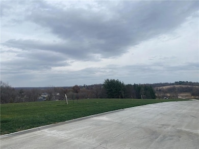 218 Hudson Ave, van Meter, IA 50261 - photo 4