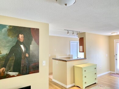 67 Amity Place, Amherst, MA 01002 - photo 7