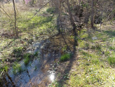 0 Spring Cir, Linden, TN 37096 - photo 2