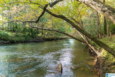 Lot 4 Bluegrass Ln unit 4, Jasper, AL 35503 - photo 2