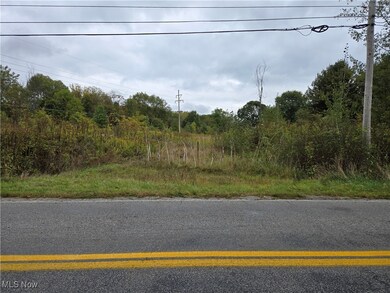 V/L Parkman Rd, Windham, OH 44288 - photo 3