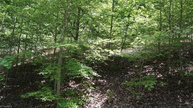 #3 Caraway Summit Trail, Sophia, NC 27350 - photo 3