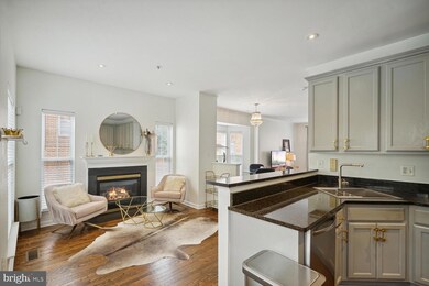 6022 Madison Overlook Ct, Falls Church, VA 22041 - photo 7