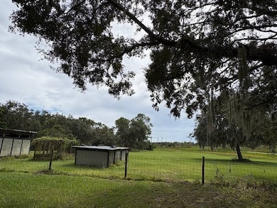 22134 Obrien Rd, Howey-In-the-hills, FL 34737 - photo 5