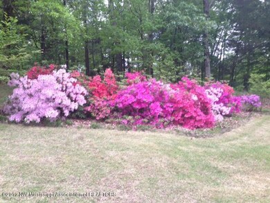 Side Yard