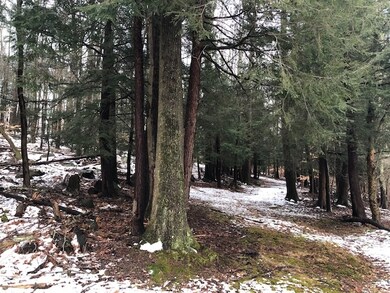 0 Patricia Dr, Portsmouth, NH 03801 - photo 6