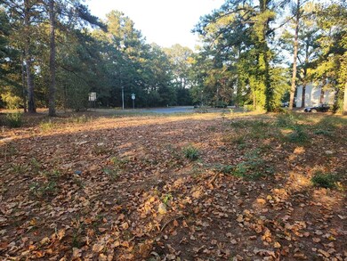 329 Chapelwood Dr, Dothan, AL 36305 - photo 6