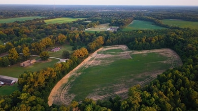 255 Cedar Grove Dr, Hickory Withe, TN 38002 - photo 6