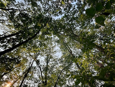 .55A On N Scipio Ave, Bass Lake, WI 54843 - photo 7