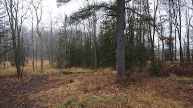 N10595 State Highway 45, Birnamwood, WI 54414 - photo 5