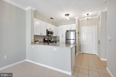 Bryson At Woodland Park unit 306, Herndon, VA 20171 - photo 5