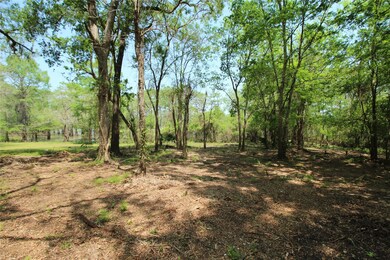 0 County Road 417 Parkway Dr unit 73304911, Dayton, TX 77535 - photo 3