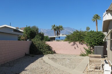 Side Yard
