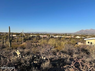 Panorama 1