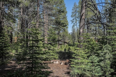 11841 Bottcher Loop, Truckee, CA 96161 - photo 3