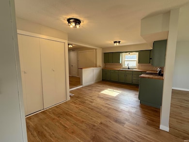 1107 N Lima Rd, Kendallville, IN 46755 - photo 7