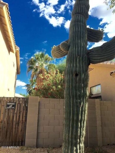 LH-SaguaroCactus