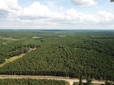 5051 Spring Hill Rd, Rembert, SC 29128 - photo 5