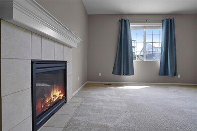 Gas fireplace