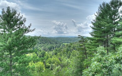 Additional View