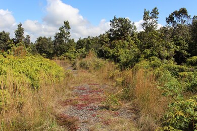 0 Nahelenani St unit 717910, Volcano, HI 96785 - photo 3