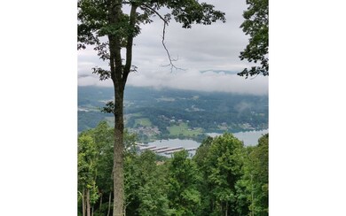 Additional View