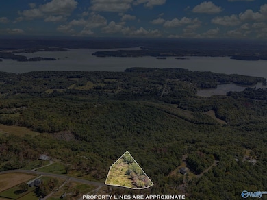 215 Wilson Rd, Scottsboro, AL 35769 - photo 7