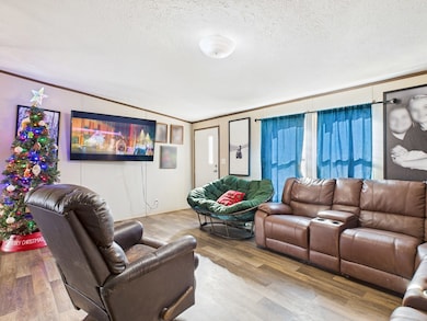 17579 Middle Island Rd, West Union, WV 26456 - photo 6