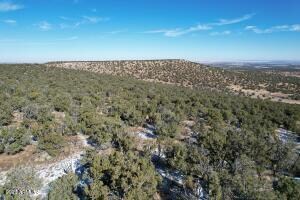 20230125192418725224000000