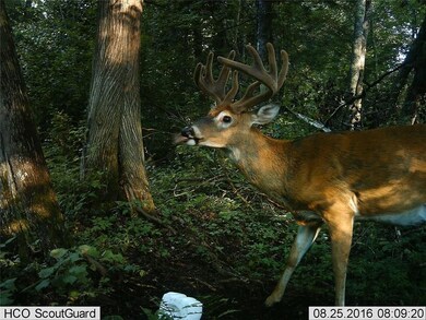 0 Ormsby Rd, Deerbrook, WI 54424 - photo 7