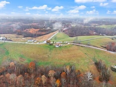 4574 Kentucky 1693, Wellington, KY 40387 - photo 7
