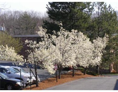 69 Milliken Ave unit 18, Franklin, MA 02038 - photo 2