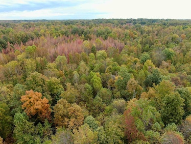 0 Faye Barfield Rd, Henning, TN 38041 - photo 2