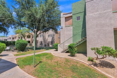 3-web-or-mls-P1245656