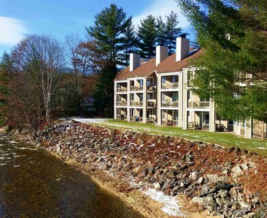 20 Crossing Rd unit 303, Woodstock, NH 03251 - photo 7