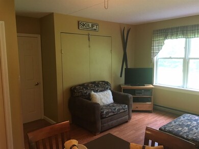 28 Packards Rd unit 108, Waterville Valley, NH 03215 - photo 4