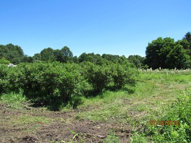 12985 California Rd, Sawyer, MI 49125 - photo 3