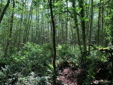 Wetland area starts at the bottom of slope.