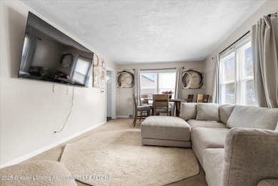 815 Woodbine Ave, Lansing, MI 48910 - photo 2